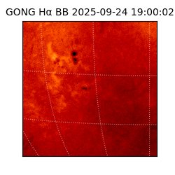 gong - 2025-09-24T19:00:02