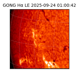 gong - 2025-09-24T01:00:42