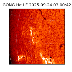 gong - 2025-09-24T03:00:42