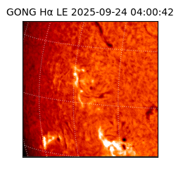 gong - 2025-09-24T04:00:42