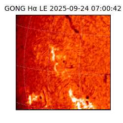 gong - 2025-09-24T07:00:42