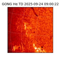 gong - 2025-09-24T09:00:22