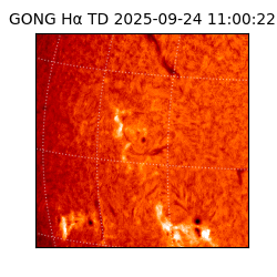 gong - 2025-09-24T11:00:22