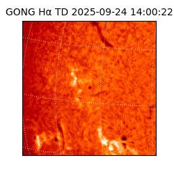 gong - 2025-09-24T14:00:22