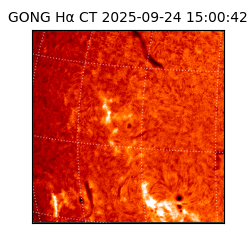 gong - 2025-09-24T15:00:42
