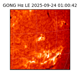 gong - 2025-09-24T01:00:42