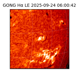 gong - 2025-09-24T06:00:42