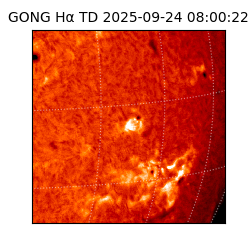 gong - 2025-09-24T08:00:22