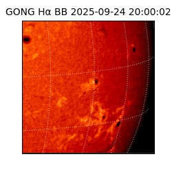 gong - 2025-09-24T20:00:02