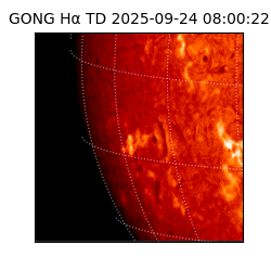 gong - 2025-09-24T08:00:22