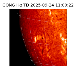 gong - 2025-09-24T11:00:22