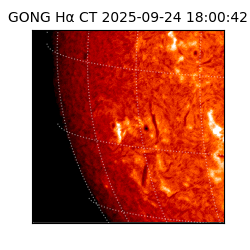 gong - 2025-09-24T18:00:42