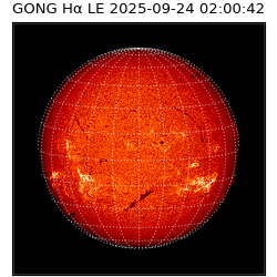gong - 2025-09-24T02:00:42