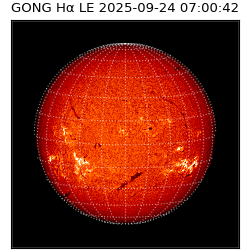 gong - 2025-09-24T07:00:42