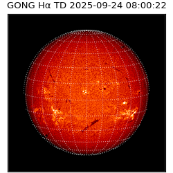 gong - 2025-09-24T08:00:22