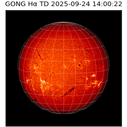 gong - 2025-09-24T14:00:22