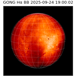 gong - 2025-09-24T19:00:02
