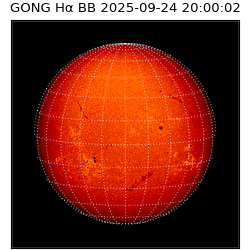 gong - 2025-09-24T20:00:02