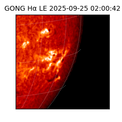 gong - 2025-09-25T02:00:42