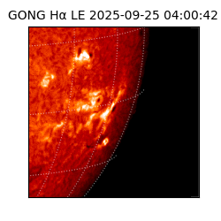 gong - 2025-09-25T04:00:42