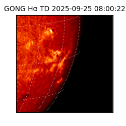 gong - 2025-09-25T08:00:22