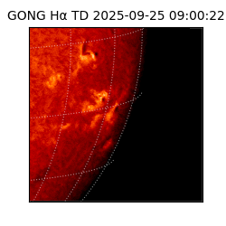 gong - 2025-09-25T09:00:22
