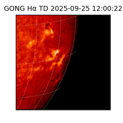 gong - 2025-09-25T12:00:22