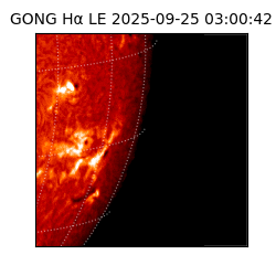 gong - 2025-09-25T03:00:42