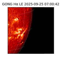 gong - 2025-09-25T07:00:42