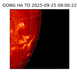 gong - 2025-09-25T08:00:22