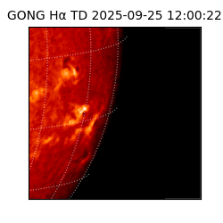 gong - 2025-09-25T12:00:22