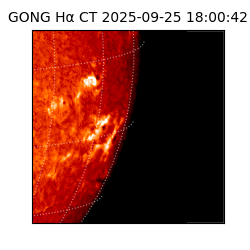 gong - 2025-09-25T18:00:42