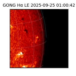 gong - 2025-09-25T01:00:42
