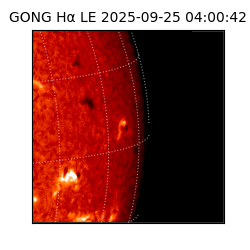 gong - 2025-09-25T04:00:42