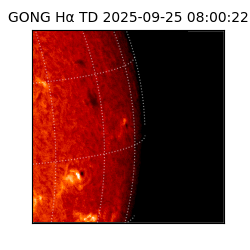 gong - 2025-09-25T08:00:22