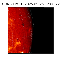gong - 2025-09-25T12:00:22