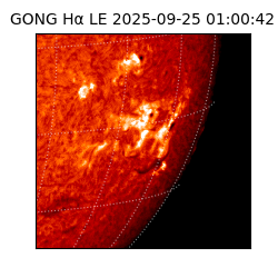 gong - 2025-09-25T01:00:42