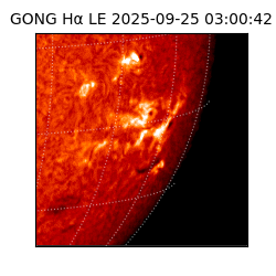 gong - 2025-09-25T03:00:42