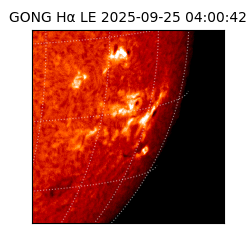 gong - 2025-09-25T04:00:42