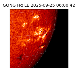 gong - 2025-09-25T06:00:42