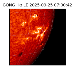 gong - 2025-09-25T07:00:42