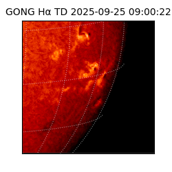 gong - 2025-09-25T09:00:22