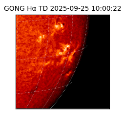 gong - 2025-09-25T10:00:22