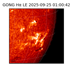 gong - 2025-09-25T01:00:42