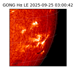 gong - 2025-09-25T03:00:42