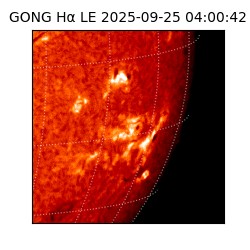 gong - 2025-09-25T04:00:42