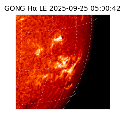 gong - 2025-09-25T05:00:42