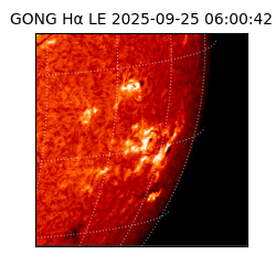 gong - 2025-09-25T06:00:42