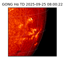 gong - 2025-09-25T08:00:22