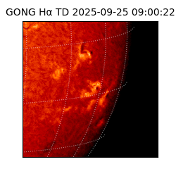 gong - 2025-09-25T09:00:22